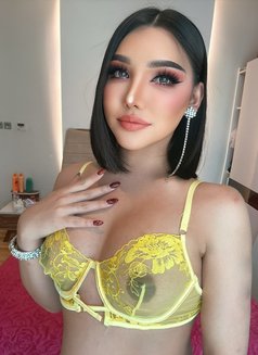 🇻🇳 Top Vip 🇻🇳 same picture 100% - Acompañantes transexual in Al Manama Photo 17 of 17