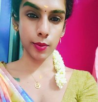 Top Ziya Chennai Shemale - Transsexual escort in Chennai
