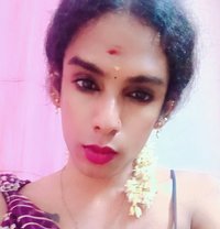 Top Ziya Chennai Shemale - Transsexual escort in Chennai