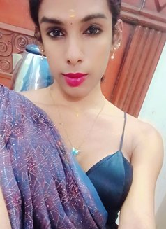 Top Ziya Chennai Shemale - Transsexual escort in Chennai Photo 3 of 4