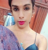 Top Ziya Chennai Shemale - Transsexual escort in Chennai