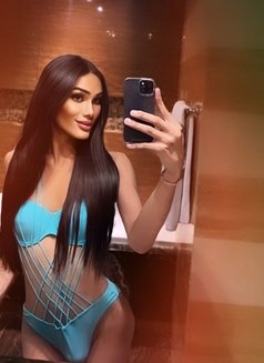 Kylie both big bick 🇹🇭 - Transsexual escort in Al Manama Photo 7 of 10