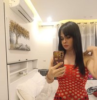 Top69 ladyboy🇹🇭 - Transsexual escort in Riyadh