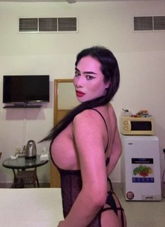 Topladyboy Ajman - Transsexual escort in Dubai Photo 8 of 11