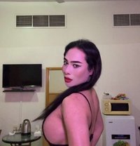Topladyboy Ajman - Transsexual escort in Sharjah