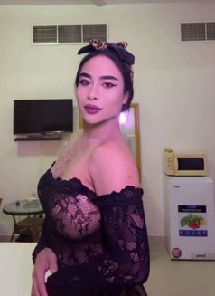 Topladyboy Ajman - Transsexual escort in Dubai Photo 10 of 11