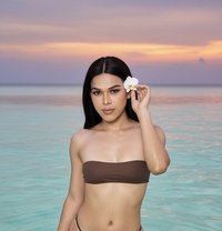 Topladyboy bottomladyboy in Riyadh - Transsexual escort in Riyadh Photo 18 of 18