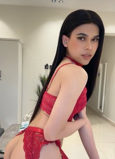 Topladyboy bottomladyboy in Riyadh - Transsexual escort in Riyadh Photo 11 of 15