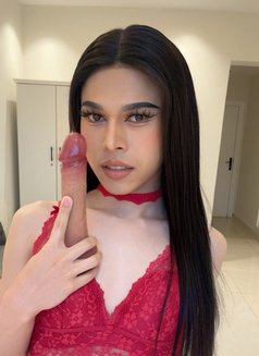 Topladyboy bottomladyboy in Riyadh - Transsexual escort in Riyadh Photo 14 of 15