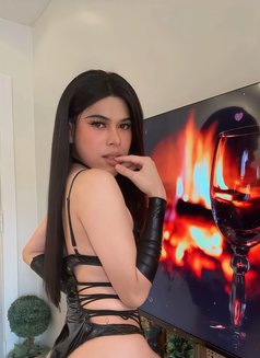 Topladyboy bottomladyboy in Riyadh - Transsexual escort in Riyadh Photo 10 of 13