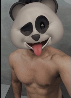 TOPMaleEscort Chandigarh❤Full Privacy - Male escort agency in Chandigarh Photo 2 of 6