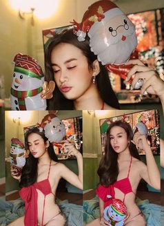 Toptrend Ladyboy - Transsexual escort in Chiang Mai Photo 18 of 30