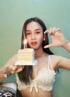 Toptrend Ladyboy - Transsexual escort in Chiang Mai Photo 28 of 30