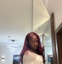 Toria - Transsexual escort in Accra