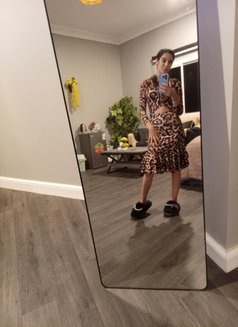 Toto Jordan 🇯🇴 - puta in Jeddah Photo 3 of 7