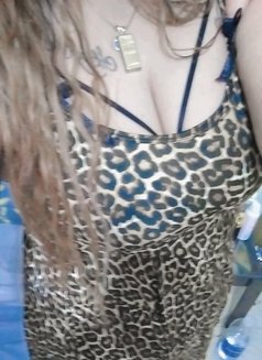 Toty - escort in Cairo Photo 1 of 3