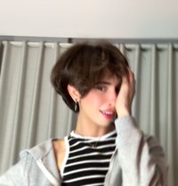 Toty - Transsexual escort in Cairo