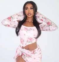 TRACY, WILD BITCH IN THE CITY.🟢 - escort in Ahmedabad