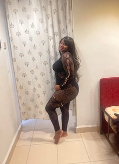 Tracy New arrival CIM and rim job Queen - escort in Candolim, Goa Photo 3 of 4