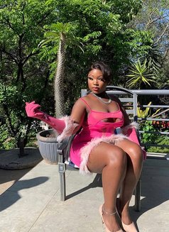 Tracy, New in Ludhiana - escort in Ludhiana Photo 4 of 4