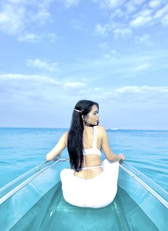 Tranene Jian (can hard and cum twice) - Acompañantes transexual in Manila Photo 6 of 6