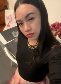 Tranny / Diploma of Remedial & Spa - masseuse in Sydney Photo 12 of 12