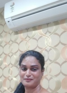 Tranny Salem Priya Kutty - Transsexual escort in Chennai Photo 1 of 4