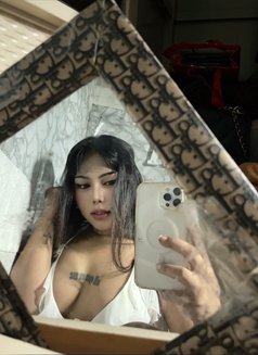 Trans Aisha Chubby - Transsexual escort in Manila Photo 3 of 4