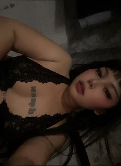 Trans Aisha Chubby - Transsexual escort in Manila Photo 1 of 5