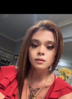 Trans Ashley - Transsexual escort in Manila Photo 7 of 8