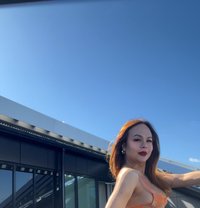 Trans Asian Christine - Transsexual escort in Lahti