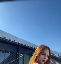 Trans Asian Christine - Transsexual escort in Lahti