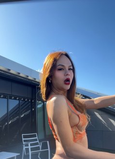 Trans Asian Christine - Acompañantes transexual in Pori Photo 5 of 9