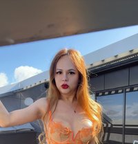 Trans Asian Christine - Transsexual escort in Lahti