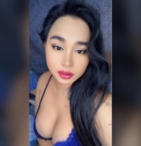 Trans Candy - Transsexual escort in Manila