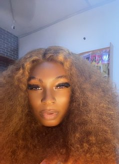 Trans Goddess - Transsexual escort in Enugu Photo 2 of 8