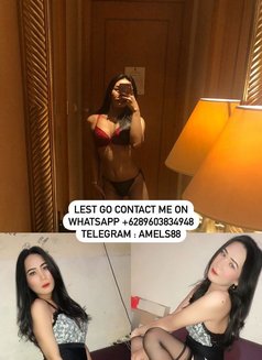 Trans Hot Ind - Transsexual escort in Jakarta Photo 13 of 16