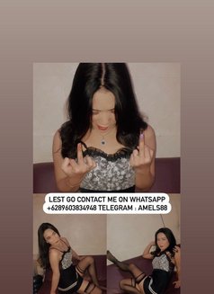 Trans Hot Ind - Transsexual escort in Jakarta Photo 14 of 16