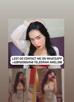 Trans Hot Ind - Transsexual escort in Jakarta Photo 15 of 16