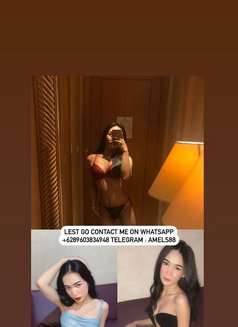 Trans Hot Ind - Transsexual escort in Jakarta Photo 16 of 16