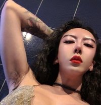 Trans-Hottie Trinitykkk - Transsexual escort in Beijing