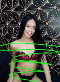 Trans Lyka - Transsexual escort in Manila Photo 2 of 4
