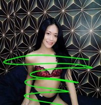 Trans Lyka - Transsexual escort in Manila