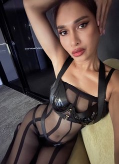 Trans Natalia Hawaiian Australian - Acompañantes transexual in Sydney Photo 18 of 19