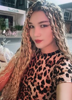 Trans Pocky - Transsexual escort in Bangkok Photo 9 of 12
