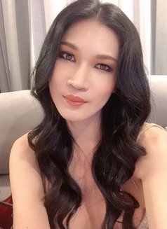 Trans Pocky - Transsexual escort in Bangkok Photo 11 of 12