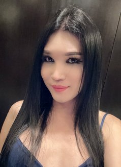 Trans Pocky - Transsexual escort in Bangkok Photo 12 of 12