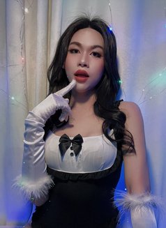 New Young LB Domination - Transsexual escort in Dubai Photo 23 of 27