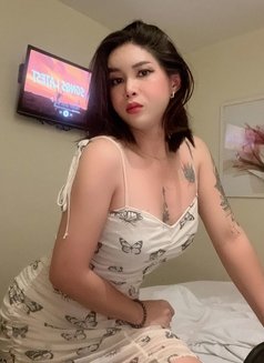 TRANS Versatile (Meet&Camshow) - Acompañantes transexual in Singapore Photo 30 of 30