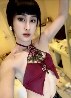 Trans Women Originally - Transsexual escort in Bangkok Photo 3 of 8